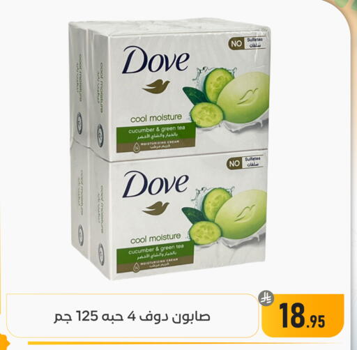 Cucumber available at Family Discount in KSA, Saudi Arabia, Saudi - Dammam