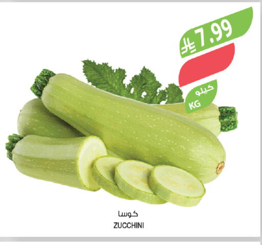 Zucchini available at Farm  in KSA, Saudi Arabia, Saudi - Arar