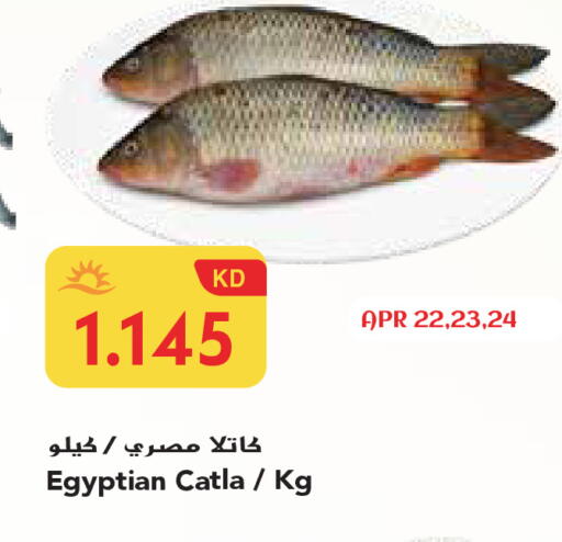 available at Grand Hyper in Kuwait - Ahmadi Governorate