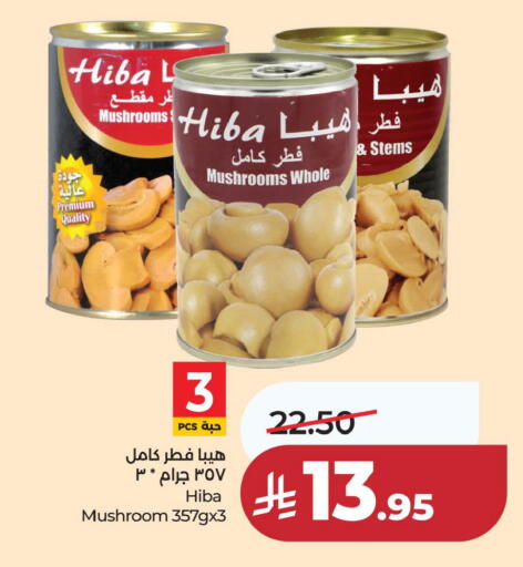 Mushroom available at لولو هايبرماركت in مملكة العربية السعودية, السعودية, سعودية - المنطقة الشرقية