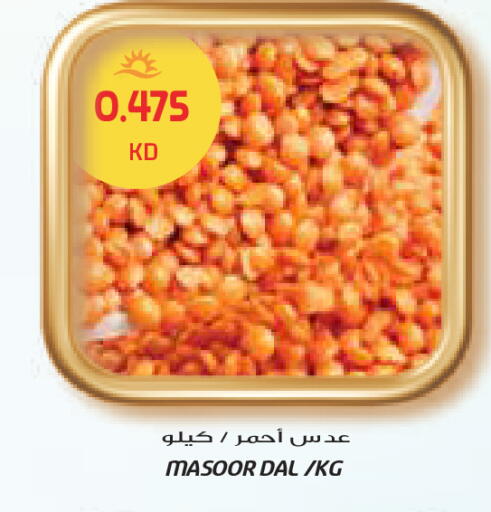 available at Grand Costo in Kuwait - Ahmadi Governorate