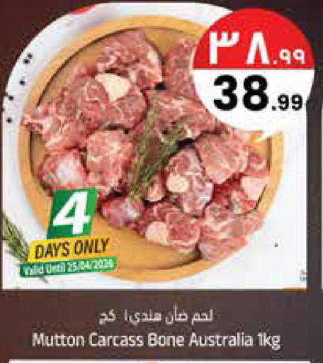 available at City Flower in KSA, Saudi Arabia, Saudi - Sakaka