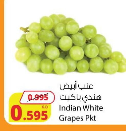 Grapes from India available at شركة المنتجات الزراعية الغذائية in الكويت - محافظة الجهراء