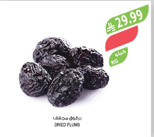 Plums available at المزرعة in مملكة العربية السعودية, السعودية, سعودية - المنطقة الشرقية