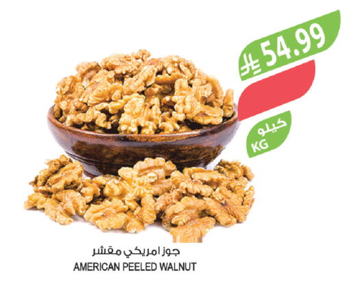 available at المزرعة in مملكة العربية السعودية, السعودية, سعودية - عرعر