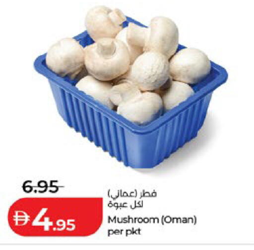 Mushroom from Oman available at لولو هايبرماركت in الإمارات العربية المتحدة , الامارات - ٱلْعَيْن‎