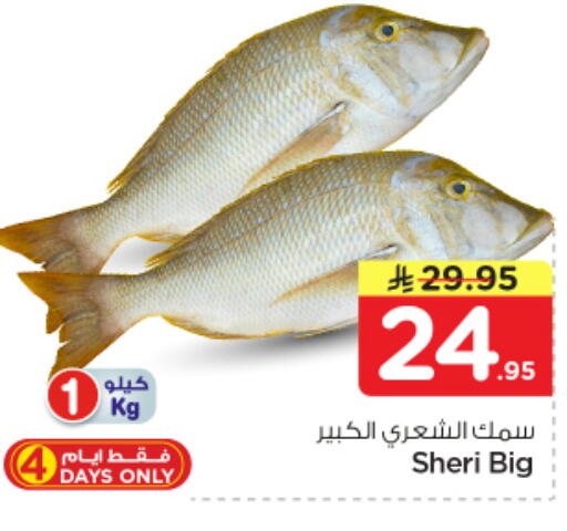 available at نستو in مملكة العربية السعودية, السعودية, سعودية - الخرج