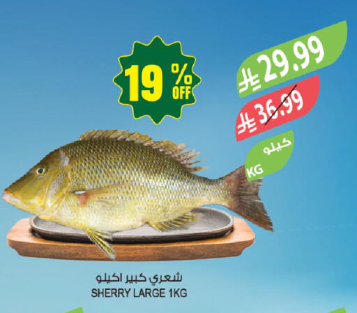 available at المزرعة in مملكة العربية السعودية, السعودية, سعودية - أبها