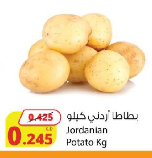 Potato from Jordan available at شركة المنتجات الزراعية الغذائية in الكويت - محافظة الجهراء