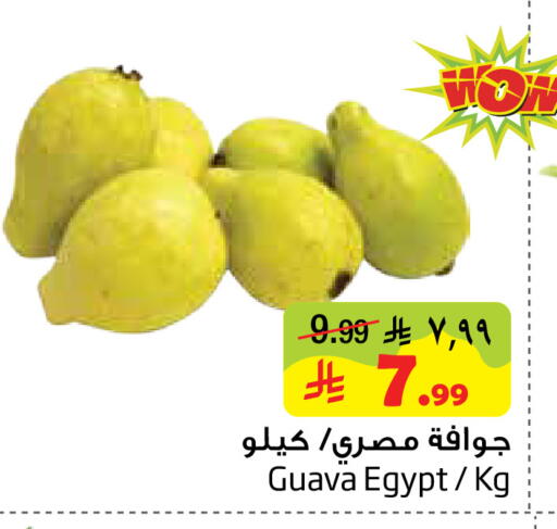 Guava from Egypt available at ليان هايبر in مملكة العربية السعودية, السعودية, سعودية - المنطقة الشرقية
