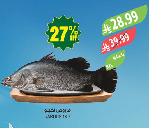 available at المزرعة in مملكة العربية السعودية, السعودية, سعودية - عرعر