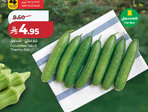 Cucumber from Saudi Arabia available at لولو هايبرماركت in مملكة العربية السعودية, السعودية, سعودية - حائل‎