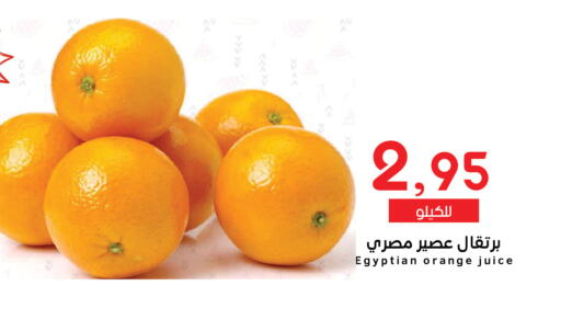 Orange from Egypt available at ميم سوق in مملكة العربية السعودية, السعودية, سعودية - الرياض
