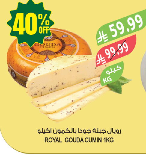 Cumin available at Farm  in KSA, Saudi Arabia, Saudi - Yanbu