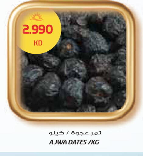 available at جراند كوستو in الكويت - محافظة الأحمدي