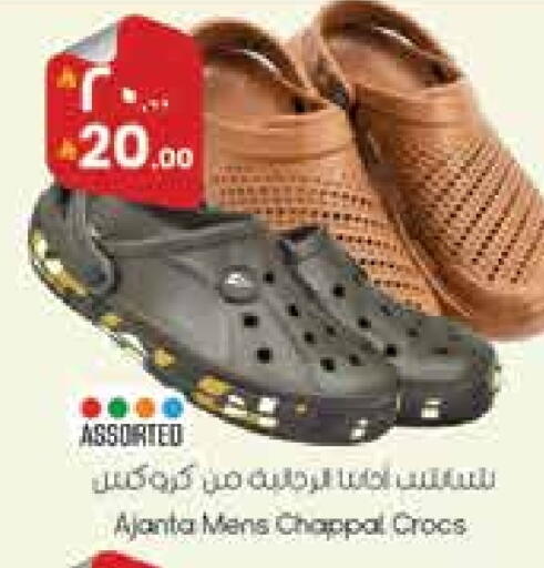 available at City Flower in KSA, Saudi Arabia, Saudi - Hail