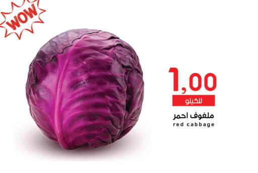 Cabbage available at ميم سوق in مملكة العربية السعودية, السعودية, سعودية - الرياض