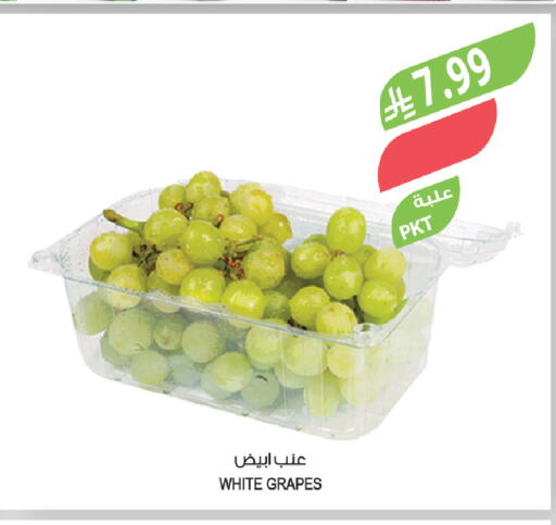 Grapes available at المزرعة in مملكة العربية السعودية, السعودية, سعودية - عرعر