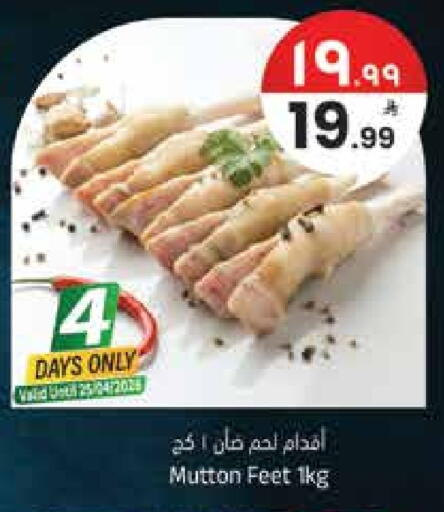 available at ستي فلاور in مملكة العربية السعودية, السعودية, سعودية - حائل‎