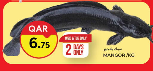 available at Paris Hypermarket in Qatar - Al Rayyan
