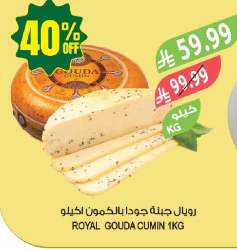 Cumin available at Farm  in KSA, Saudi Arabia, Saudi - Arar