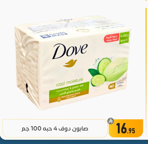 Cucumber available at Family Discount in KSA, Saudi Arabia, Saudi - Dammam