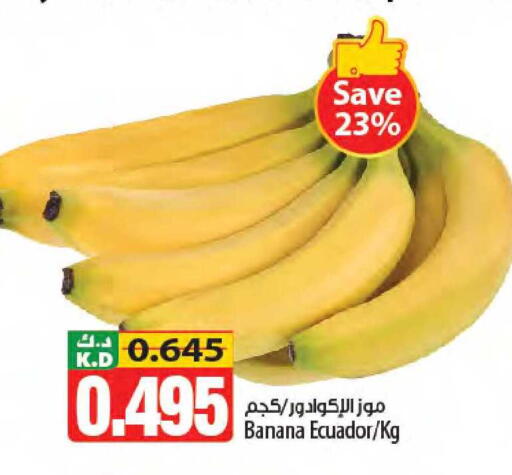Banana Mango from Ecuador available at مانجو هايبرماركت in الكويت - محافظة الجهراء
