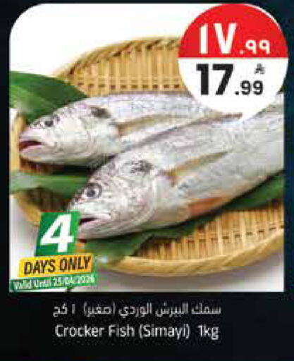 available at ستي فلاور in مملكة العربية السعودية, السعودية, سعودية - الرياض