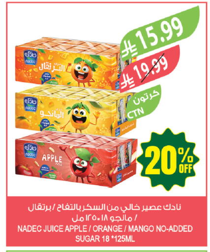 Apple Orange Mango available at Farm  in KSA, Saudi Arabia, Saudi - Arar