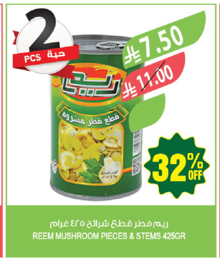 Mushroom available at المزرعة in مملكة العربية السعودية, السعودية, سعودية - المنطقة الشرقية