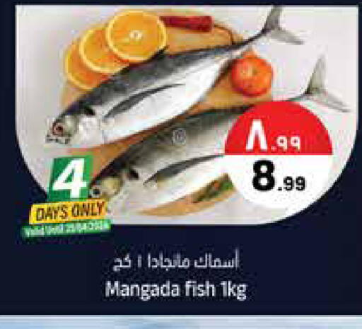 available at City Flower in KSA, Saudi Arabia, Saudi - Najran