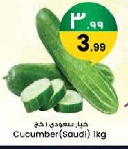 Cucumber from Saudi Arabia available at City Flower in KSA, Saudi Arabia, Saudi - Najran