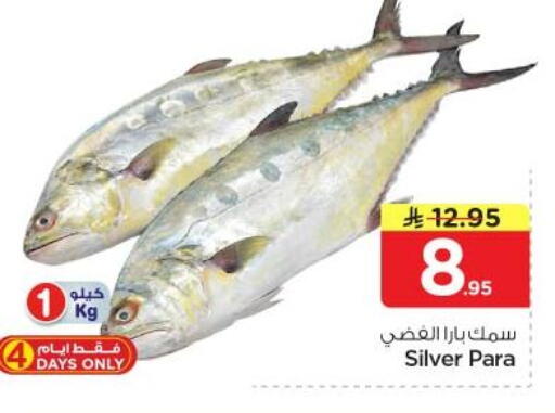 available at نستو in مملكة العربية السعودية, السعودية, سعودية - الرياض