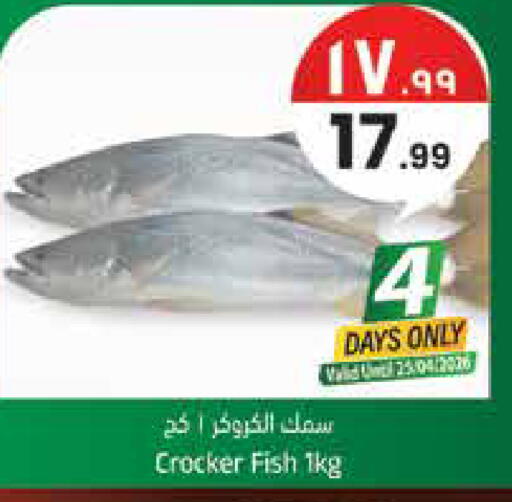 available at City Flower in KSA, Saudi Arabia, Saudi - Jubail