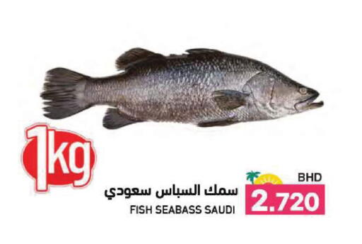 available at رامــز in البحرين