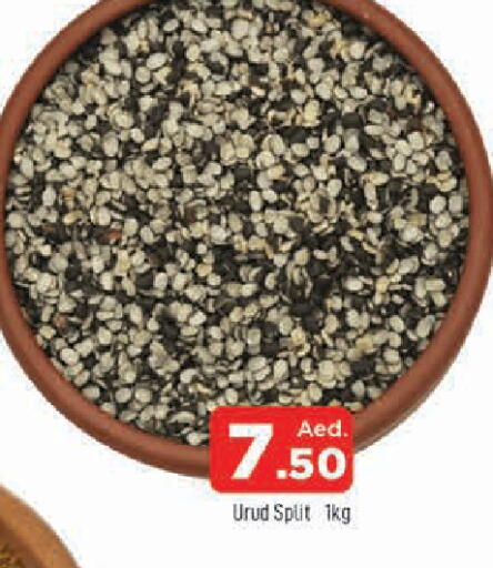 available at المدينة in الإمارات العربية المتحدة , الامارات - الشارقة / عجمان