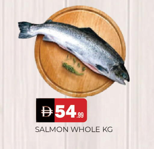 available at المدينة in الإمارات العربية المتحدة , الامارات - الشارقة / عجمان