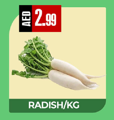 Radish available at ريفييرا سوبرماركت in الإمارات العربية المتحدة , الامارات - أبو ظبي