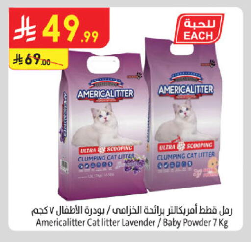 available at Danube in KSA, Saudi Arabia, Saudi - Tabuk