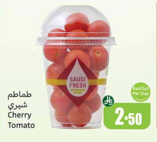 Cherry Cherry tomato from Saudi Arabia available at Othaim Markets in KSA, Saudi Arabia, Saudi - Mecca