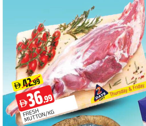 available at المدينة in الإمارات العربية المتحدة , الامارات - الشارقة / عجمان