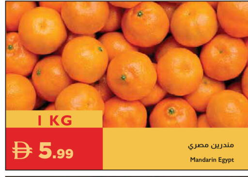 Mandarin from Egypt available at إسطنبول سوبرماركت in الإمارات العربية المتحدة , الامارات - الشارقة / عجمان
