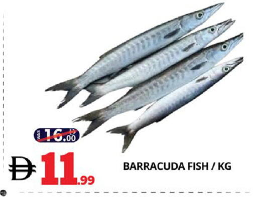 available at اكسبرس المدينة هايبرماركت in الإمارات العربية المتحدة , الامارات - أبو ظبي