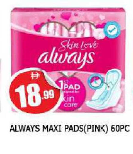 available at المدينة in الإمارات العربية المتحدة , الامارات - الشارقة / عجمان