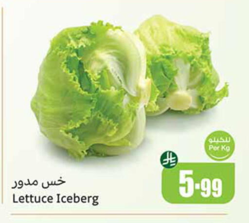 Lettuce available at أسواق عبد الله العثيم in مملكة العربية السعودية, السعودية, سعودية - جازان