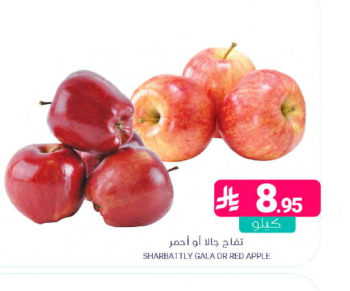 Apple available at اسواق المنتزه in مملكة العربية السعودية, السعودية, سعودية - المنطقة الشرقية