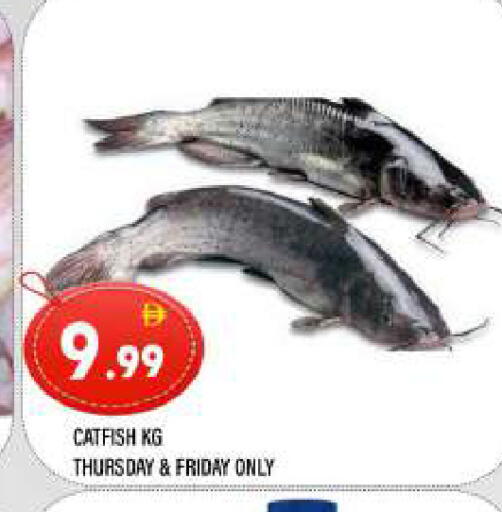 available at المدينة in الإمارات العربية المتحدة , الامارات - الشارقة / عجمان