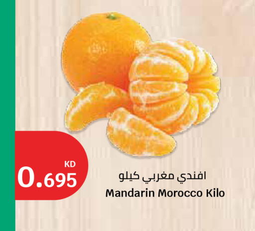 Mandarin from Morocco available at سيتي هايبرماركت in الكويت - محافظة الأحمدي