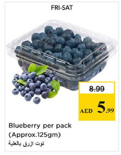 Blueberry BlueBerry available at نستو هايبرماركت in الإمارات العربية المتحدة , الامارات - ٱلْفُجَيْرَة‎