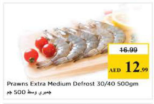 available at Nesto Hypermarket in UAE - Abu Dhabi